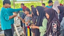 Mangrove